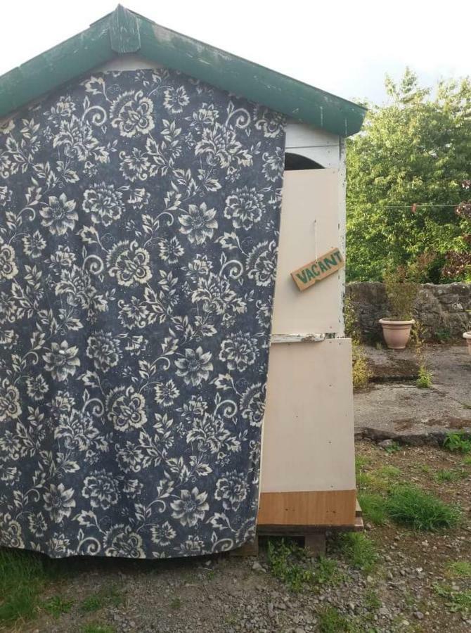 Castletownmoor Clinic & Permaculture Farm Hotel Kells  Exterior photo