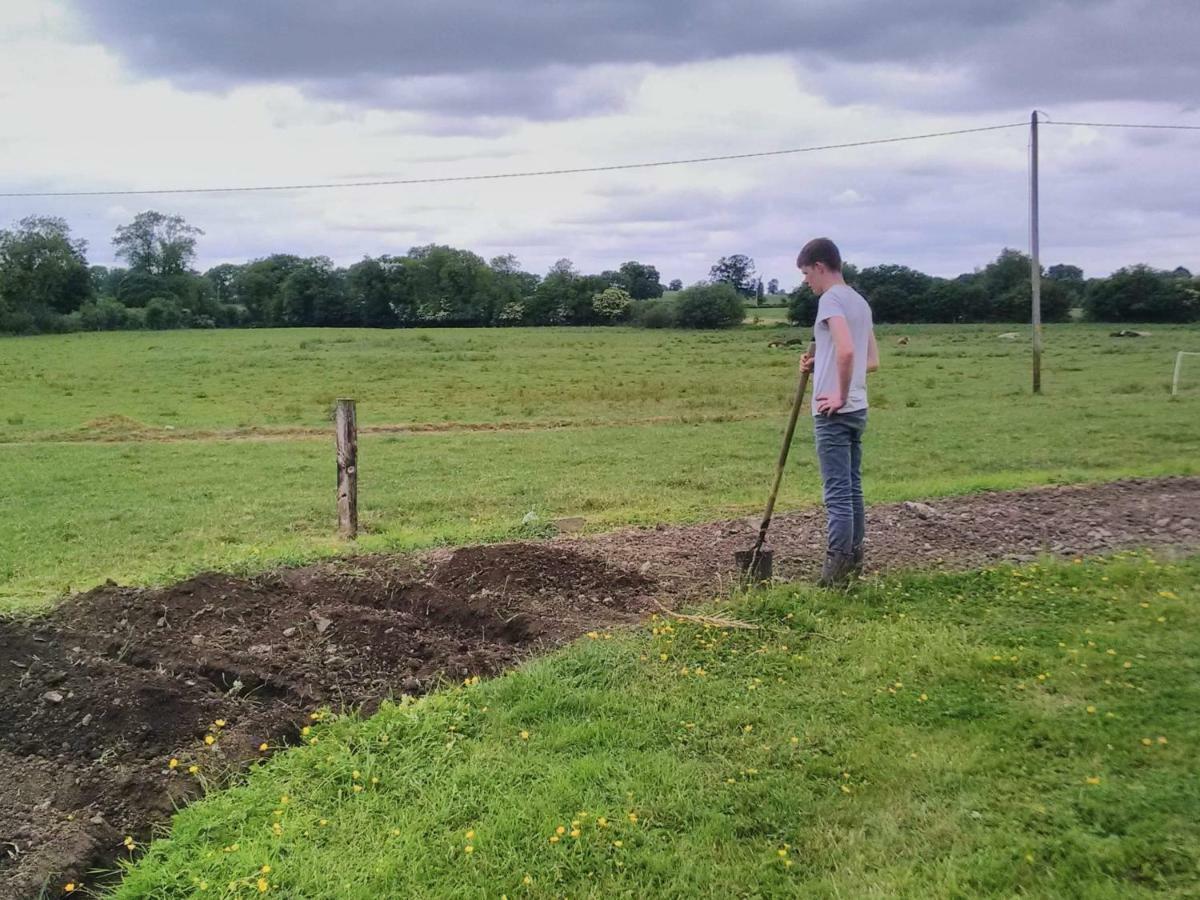 Castletownmoor Clinic & Permaculture Farm Hotel Kells  Exterior photo